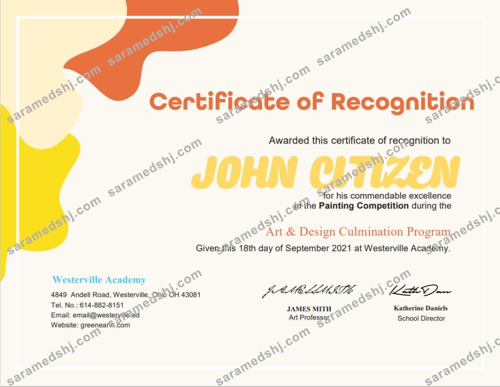 USA Painting Award cert